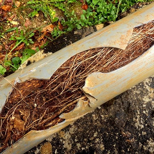 Same Day Drain Sewer & Rooter Pros Across Center Harbor